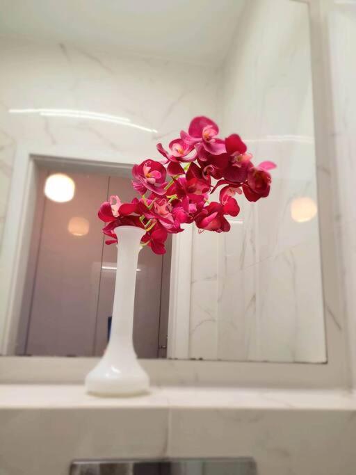 קרקוב Apartment Sophie 3 Rooms, 2 Bathrooms, 8 Persons מראה חיצוני תמונה