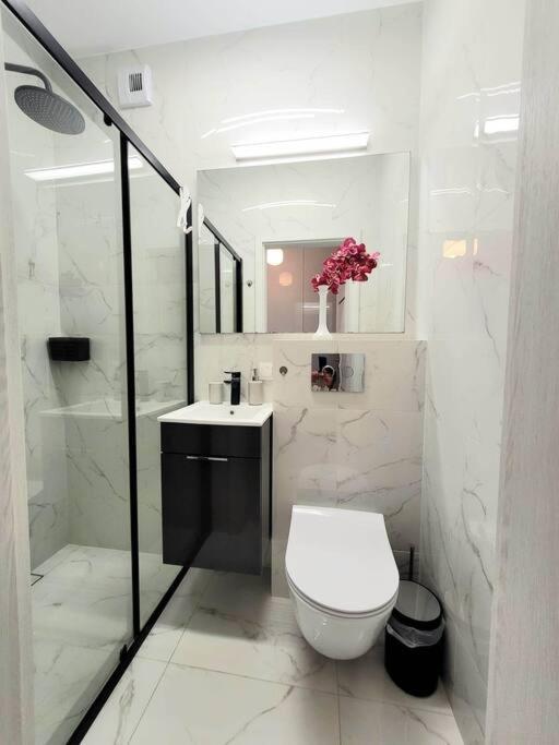 קרקוב Apartment Sophie 3 Rooms, 2 Bathrooms, 8 Persons מראה חיצוני תמונה
