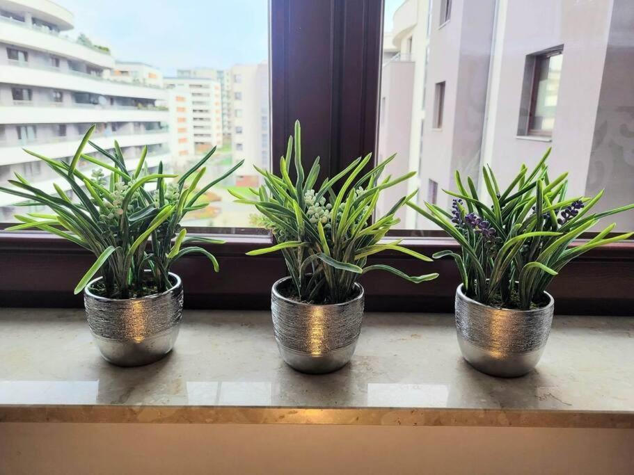 קרקוב Apartment Sophie 3 Rooms, 2 Bathrooms, 8 Persons מראה חיצוני תמונה